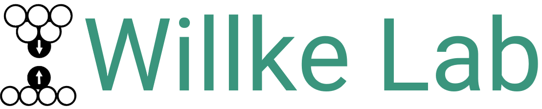 WillkeLab — Quantum Systems on Surfaces