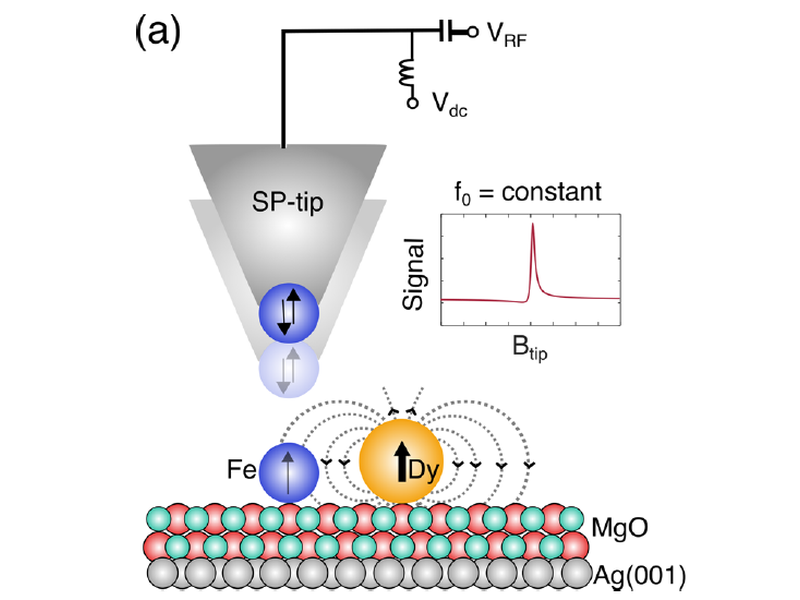 Figure from: Engineering atomic-scale magnetic fields by dysprosium single atom magnets