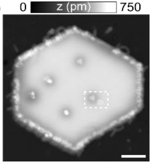 Figure from: Atomic-Scale Quantum Control of Single Spin Defects in a Two-Dimensional Semiconductor