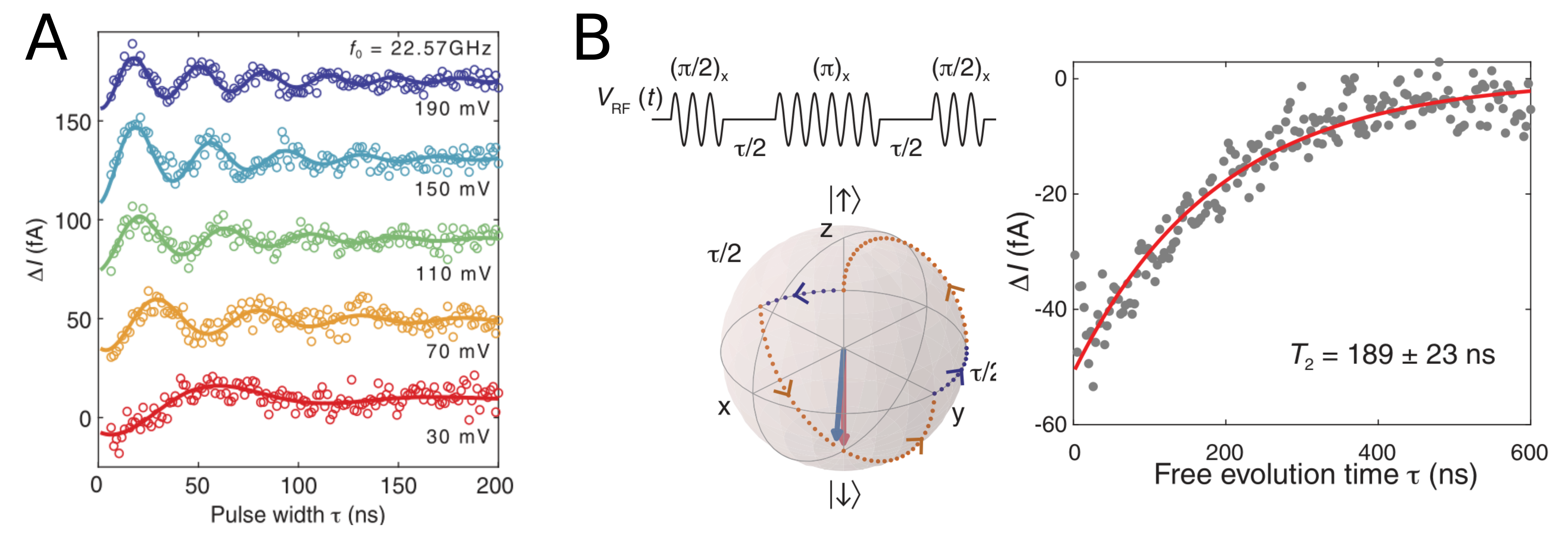 Rabi oscillations and Hahn echo measurements on a single atom