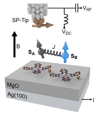 Two exchange-coupled molecules on MgO driven electrically through a spin-polarized tip