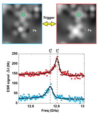 STM images and ESR spectra of a molecule switched between two magnetic configurations