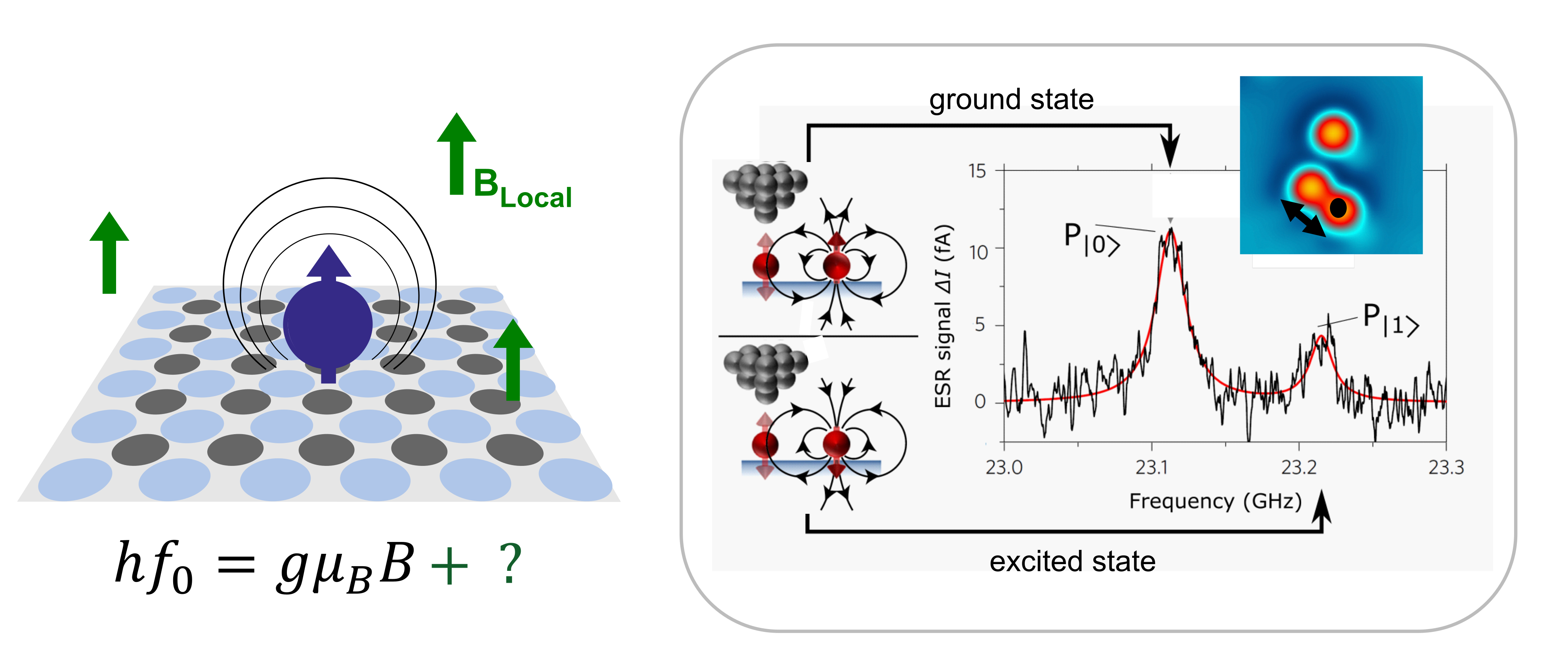 Single atom as a quantum sensor and ESR spectrum with dipolar splitting